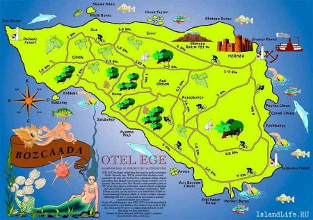 Карта острова Бозджаада