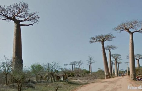 Теперь, даже сидя дома, можно полюбоваться панорамами острова Мадагаскар
