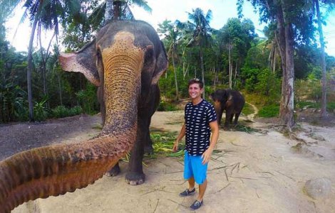 На острове Ко Пханган слон сделал свое селфи – первопроходец