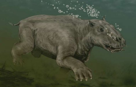 10 млн. лет тому назад такие существа обитали на Земле
