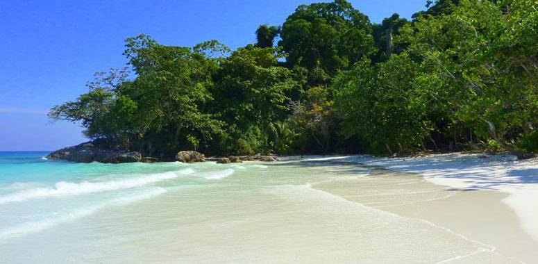 Один из островов Таиланда станет полностью закрытым для туристов